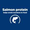 imageHills Prescription Diet dd Food Sensitivities Potato ampamp Venison Formula Dry Dog Food Veterinary Diet 8 lb BagPotato  Salmon