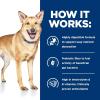 imageHills Prescription Diet id Digestive Care Chicken ampamp Vegetable Stew Canned Dog Food Veterinary Diet 55 oz 24Pack Wet Food WhiteChicken  Vegetable Stew
