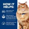 imageHills Prescription Diet kd  jd Kidney  Mobility Chicken Flavor Dry Cat Food Veterinary Diet 635 lb BagChicken