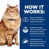 imageHills Prescription Diet kd  jd Kidney  Mobility Chicken Flavor Dry Cat Food Veterinary Diet 635 lb BagChicken