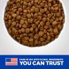 imageHills Prescription Diet kd Early Support Kidney Care Chicken Flavor Dry Cat Food Veterinary Diet 4 lb BagChicken