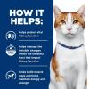 imageHills Prescription Diet kd Kidney Care with Chicken Wet Cat Food Veterinary Diet 55 oz Cans 24PackChicken  Vegetable  Rice Stew