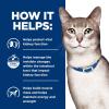 imageHills Prescription Diet kd Kidney Care with Chicken Wet Cat Food Veterinary Diet 55 oz Cans 24PackChicken  Vegetable Stew