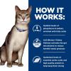 imageHills Prescription Diet kd Kidney Care with Chicken Wet Cat Food Veterinary Diet 55 oz Cans 24PackStarter Kit