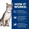 imageHills Prescription Diet kd Kidney Care with Chicken Wet Cat Food Veterinary Diet 55 oz Cans 24PackVariety Pack