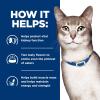 imageHills Prescription Diet kd Kidney Care with Chicken Wet Cat Food Veterinary Diet 55 oz Cans 24PackVariety Pack