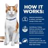 imageHills Prescription Diet kd Kidney Care with Chicken Wet Cat Food Veterinary Diet 55 oz Cans 24PackVegetable  Tuna Stew