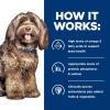 imageHills Prescription Diet bd Brain Aging Care Chicken Flavor Dry Dog Food Veterinary Diet 176 lb BagChicken