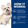 imageHills Prescription Diet gd Aging Care Turkey Flavor Wet Dog Food Veterinary Diet 13 oz Cans 12PackTurkey