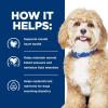 imageHills Prescription Diet hd Heart Care with Chicken Wet Dog Food Veterinary Diet 13 oz Cans 12Pack