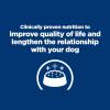 imageHills Prescription Diet kd Kidney Care  jd Joint Care Chicken Flavor Dry Dog Food Veterinary Diet 85 lb BagChicken