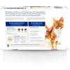 imageHills Prescription Diet kd Kidney Care Starter Kit Variety Pack Cat Food Veterinary Diet 525 oz Dry Food 2 55 oz Cans 2 29 oz Cans 4Variety Pack