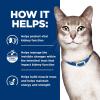 imageHills Prescription Diet kd Kidney Care with Chicken Dry Cat Food Veterinary Diet 85 lb BagChicken