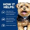 imageHills Prescription Diet ld Liver Care Wet Dog Food Veterinary Diet 13 oz Cans 12PackChicken
