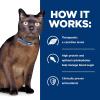 imageHills Prescription Diet md GlucoSupport Chicken Flavor Dry Cat Food Veterinary Diet 4 lb BagChicken