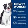 imageHills Prescription Diet td Dental Care Chicken Flavor Dry Dog Food Veterinary Diet 5 lb BagChicken  Regular Bites