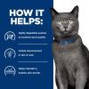 imageHills Prescription Diet zd SkinFood Sensitivities Wet Cat Food Veterinary Diet 55 oz Cans 24PackDuck Formula