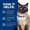 imageHills Prescription Diet zd SkinFood Sensitivities Wet Cat Food Veterinary Diet 55 oz Cans 24PackOriginal Flavor