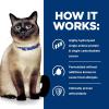 imageHills Prescription Diet zd SkinFood Sensitivities Wet Cat Food Veterinary Diet 55 oz Cans 24PackOriginal Flavor