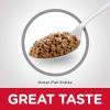imageHills Science Diet Adult 16 Adult 16 Premium Nutrition Wet Cat Food Chicken Minced 5 oz Can Case of 24Ocean Fish Minced
