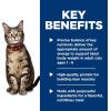 imageHills Science Diet Adult 16 Adult 16 Premium Nutrition Wet Cat Food Chicken Minced 5 oz Can Case of 24Ocean Fish Minced