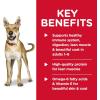 imageHills Science Diet Adult 16 Adult 16 Premium Nutrition Wet Dog Food Chicken ampamp Barley Loaf 13 oz Can Case of 12Beef  Barley Loaf