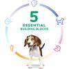 imageHills Science Diet Puppy Puppy Premium Nutrition Dry Dog Food Chicken ampamp Brown Rice 155 lb Bag