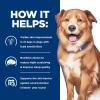 imageHills Prescription Diet Derm Complete Rice ampamp Egg Recipe Wet Dog Food Veterinary Diet 13 oz Cans 12PackRice  Egg
