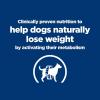 imageHills Prescription Diet Metabolic Weight Management Vegetable ampamp Chicken Stew Wet Dog Food Veterinary Diet 125 oz Cans 12PackChicken