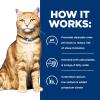 imageHills Prescription Diet cd Multicare Stress Feline Chicken Vegetables and Rice Stew 28oz 24Pack Wet FoodVegetable  Tuna   Rice Stew