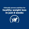 imageHills Prescription Diet rd Weight Reduction Wet Dog Food Veterinary Diet 123 oz Cans 12Pack WhiteChicken
