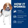 imageHills Prescription Diet rd Weight Reduction Wet Dog Food Veterinary Diet 123 oz Cans 12Pack WhiteChicken