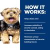 imageHills Prescription Diet sd Urinary Care Wet Dog Food Veterinary Diet 13 oz Cans 12Pack
