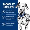 imageHills Prescription Diet ud Urinary Care Chicken Flavor Wet Dog Food Veterinary Diet 13 oz Cans 12PackChicken