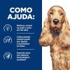 imageHills Prescription Diet zd SkinFood Sensitivities Wet Dog Food Veterinary Diet 13 oz Cans 12PackOriginal