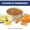imageHills Science Diet Adult 16 Adult 16 Premium Nutrition Dry Cat Food Chicken Recipe 7 lb BagChicken