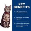 imageHills Science Diet Adult 16 Adult 16 Premium Nutrition Wet Cat Food Variety Case Tuna Chicken Ocean Fish Stew 28 oz Pouch Variety Case Case of 12Chicken Casserole Stew