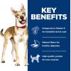 imageHills Science Diet Adult 16 Adult 16 Premium Nutrition Wet Dog Food Salmon ampamp Barley Loaf 13 oz Can Case of 12