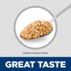 imageHills Science Diet Adult 16 Adult 16 Premium Nutrition Wet Dog Food Salmon ampamp Barley Loaf 13 oz Can Case of 12