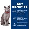 imageHills Science Diet Adult 7 Senior Adult 7 Premium Nutrition Dry Cat Food Chicken Recipe 7 lb BagNo Corn  Wheat  Soy Chicken  Brown Rice