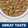 imageHills Science Diet Adult 7 Senior Adult 7 Premium Nutrition Wet Cat Food Chicken Minced 29 oz Can Case of 24Roasted Chicken  Rice Stew