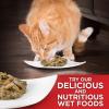 imageHills Science Diet Hairball Control Light Adult 16 Weight Management ampamp Hairball Control Support Dry Cat Food Chicken Recipe 155 lb BagChicken