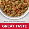 imageHills Science Diet Healthy Cuisine Adult 16 Great Taste Wet Dog Food Variety Pack Roasted Chicken Carrots ampamp Spinach Braised Beef  Carrots ampamp Peas Stew 125 oz Can Variety Pack Case of 12Roasted Chicken  Carrots  Spinach Stew