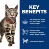 imageHills Science Diet Perfect Weight Adult 16 Weight Management Support Wet Cat Food Salmon ampamp Vegetables Stew 29 oz Can Case of 24