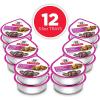 imageHills Science Diet Small ampamp Mini Adult 16 Small ampamp Mini Breeds Premium Nutrition Wet Dog Food Beef ampamp Vegetables Stew 35 oz Tray Case of 12Beef  Vegetables Stew