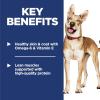 imageHills Science Diet Adult 16 Adult 16 Premium Nutrition Dry Dog Food Chicken ampamp Barley 15 lb BagChicken  Barley