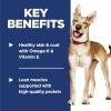 imageHills Science Diet Adult 16 Adult 16 Premium Nutrition Dry Dog Food Lamb ampamp Brown Rice 155 lb BagSalmon  Brown Rice