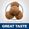 imageHills Science Diet Adult 6 Chicken Meal Barley ampamp Brown Rice Recipe Large Breed Dry Dog Food 15 lbs