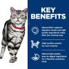 imageHills Science Diet Indoor Adult 16 Easy Litter Box Cleanup Wet Cat Food Salmon ampamp Vegetables Stew 55 oz Can Case of 24