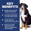 imageHills Science Diet Large Breed Adult 15 Large Breed Premium Nutrition Dry Dog Food Lamb ampamp Brown Rice 33 lb BagLamb  Brown Rice